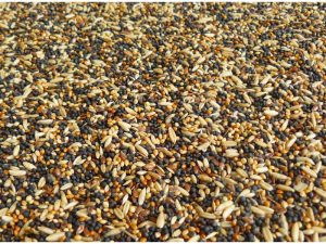 Hrana za kanarince 1kg