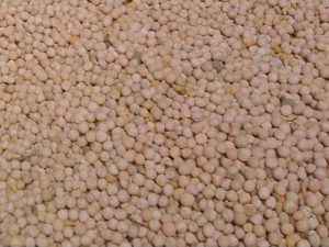 Grašak  Proteinski1kg